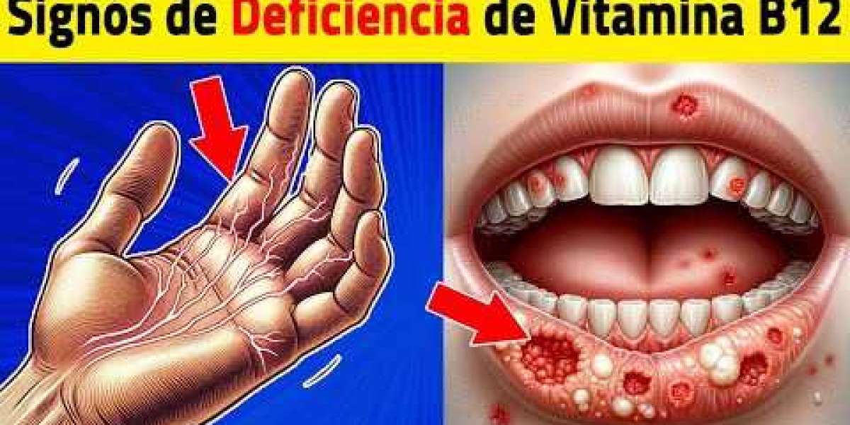 ¿Para qué es bueno el romero? Conoce sus propiedades y usos medicinales