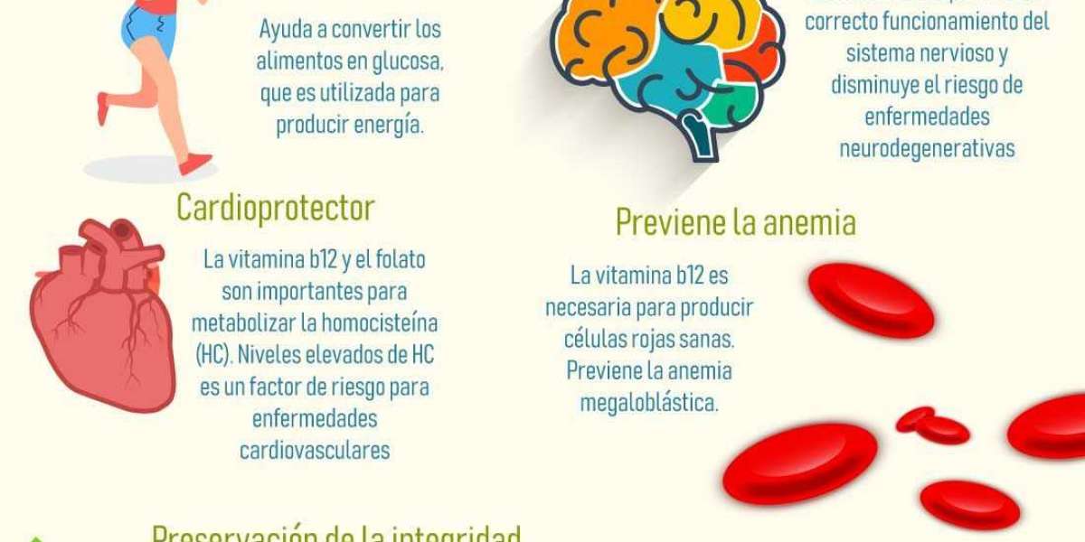 Que es exactamente polper B12? Son vitaminas? Desde qué edad se puede tomar?