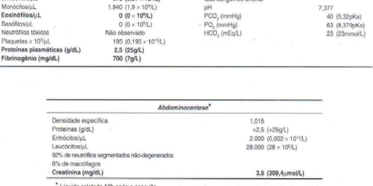 Insuficiencia cardíaca en perros y gatos: causas y tratamientos Actualizado agosto 2024