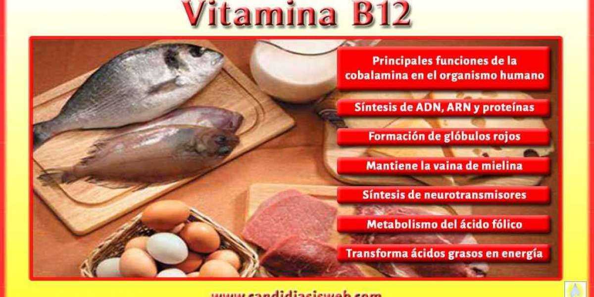 Descubre los Síntomas Clave que Indican una Deficiencia de Vitamina B12 en tu Cuerpo