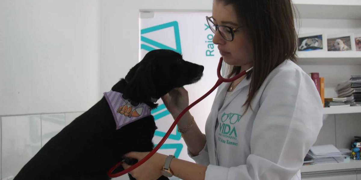 Understanding Your Pet's Bloodwork Results