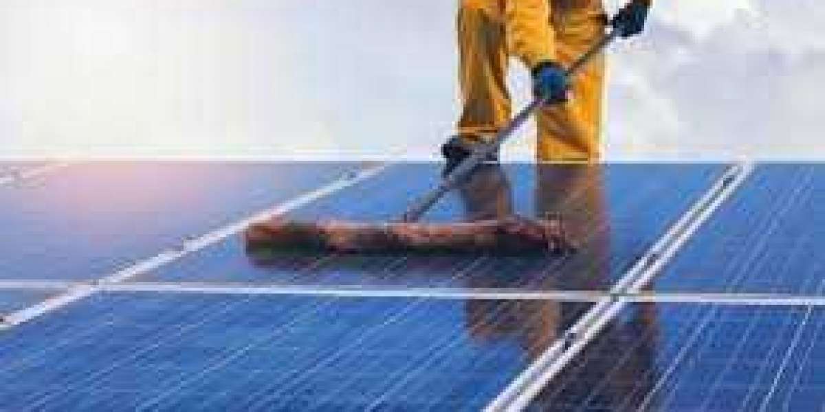 Sparkle & Shine: Solar Panel Cleaning Sydney & Gutter Experts (Focuses on cleanliness and expertise)