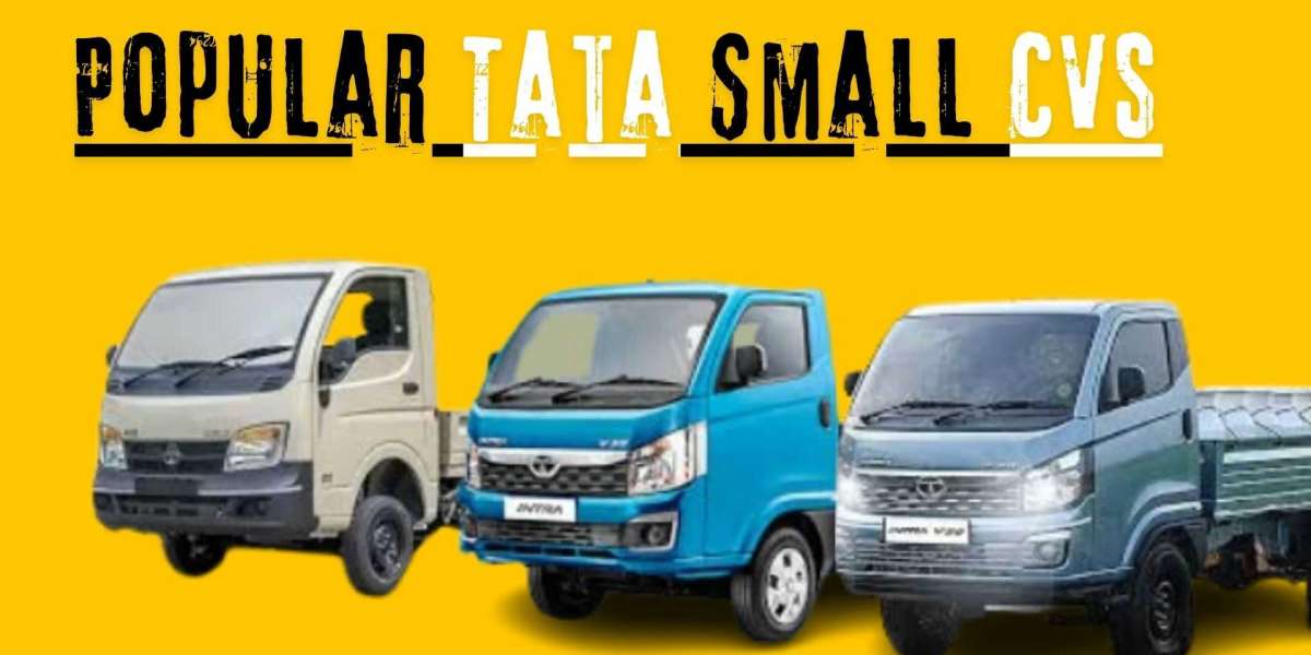 Most Popular Tata Small CVs in India