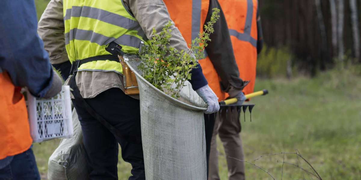 How Affordable Tree Service Houston Transforms Your Landscape