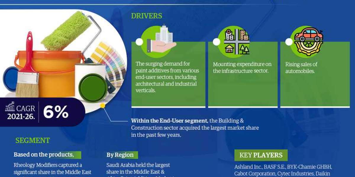 Insights into the Middle East and Africa Paint Additives Market: Share, Demand Trends, and Growth Analysis