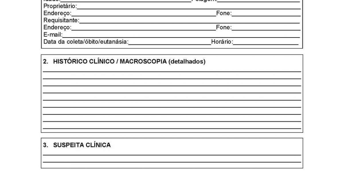 Sorologia para FIV e FeLV: Entenda o Funcionamento do Teste ELISA e Sua Importância para a Saúde dos Gatos