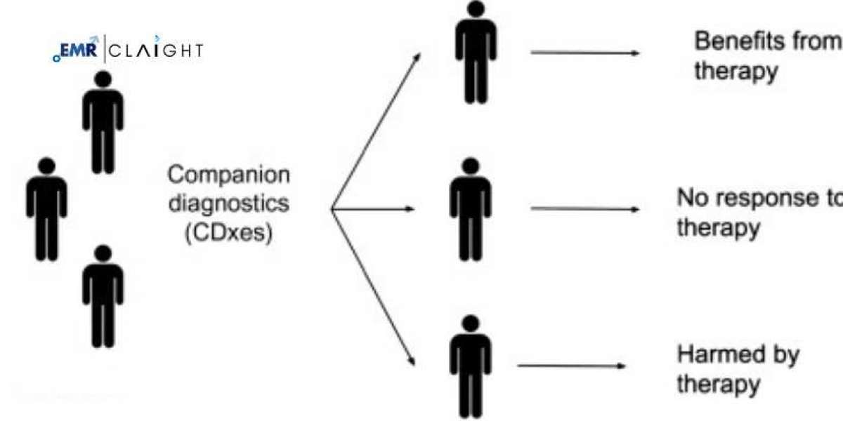 Companion Diagnostics Market Global Industry Analysis and Forecast (2025-2034)