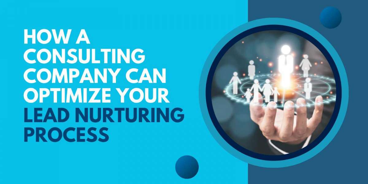 How a Consulting Company Can Optimize Your Lead Nurturing Process