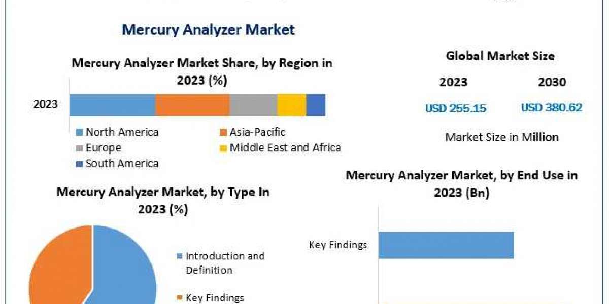 Market Opportunities in the Expanding Mercury Analyzer Industry