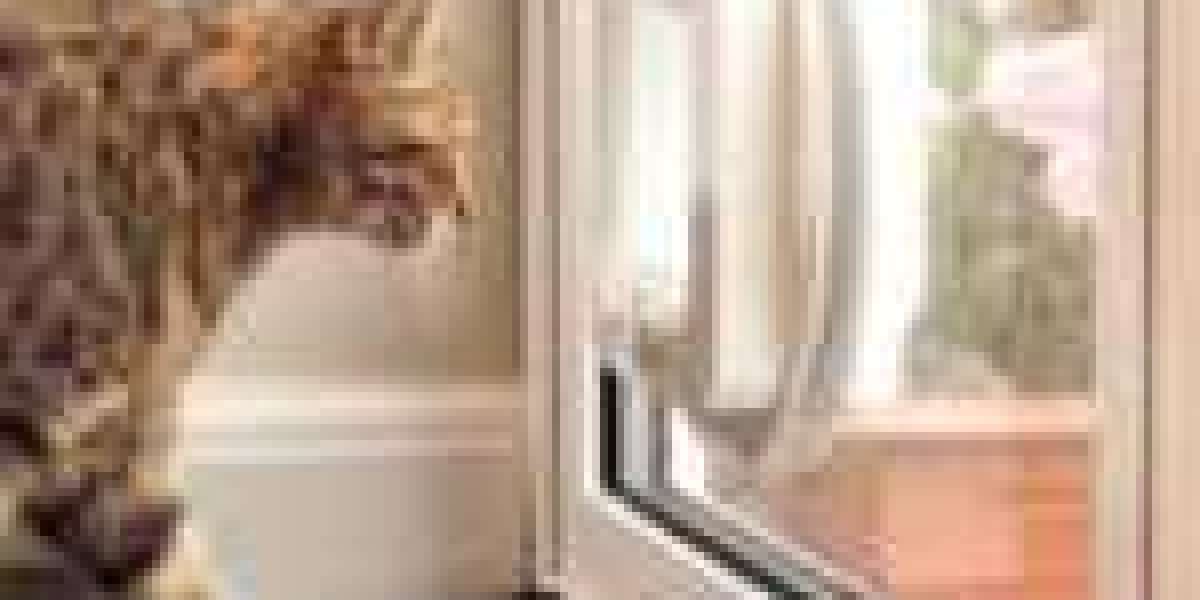 10 Facts About Professional Cat Flap Installer That Can Instantly Put You In A Good Mood