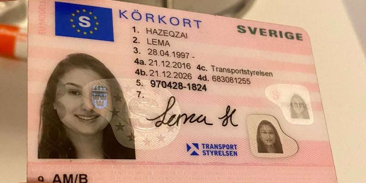 The Reasons To Work With This Online Driving License