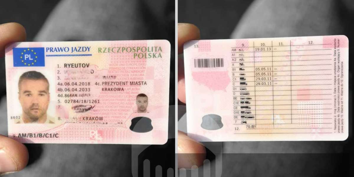 20 Trailblazers Setting The Standard In Buy Driving License