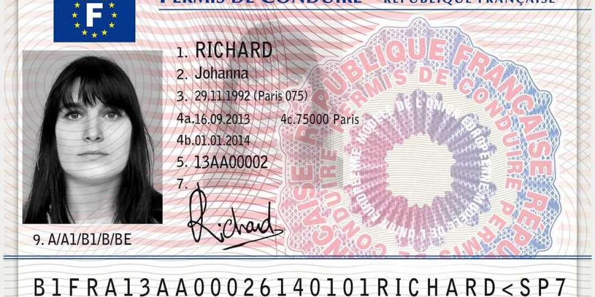 20 Misconceptions About French Provisional Driving License: Busted