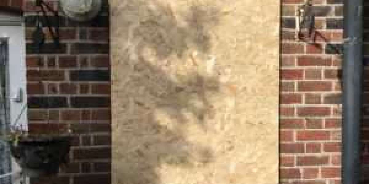 Broken Window Repair Tools To Ease Your Everyday Lifethe Only Broken Window Repair Trick That Everybody Should Know