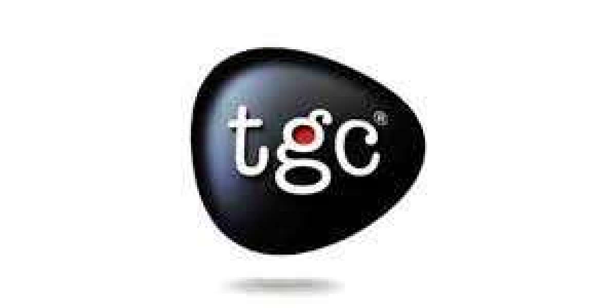 Build a Career in Animation with Professional Training in Dehradun – TGC Dehradun